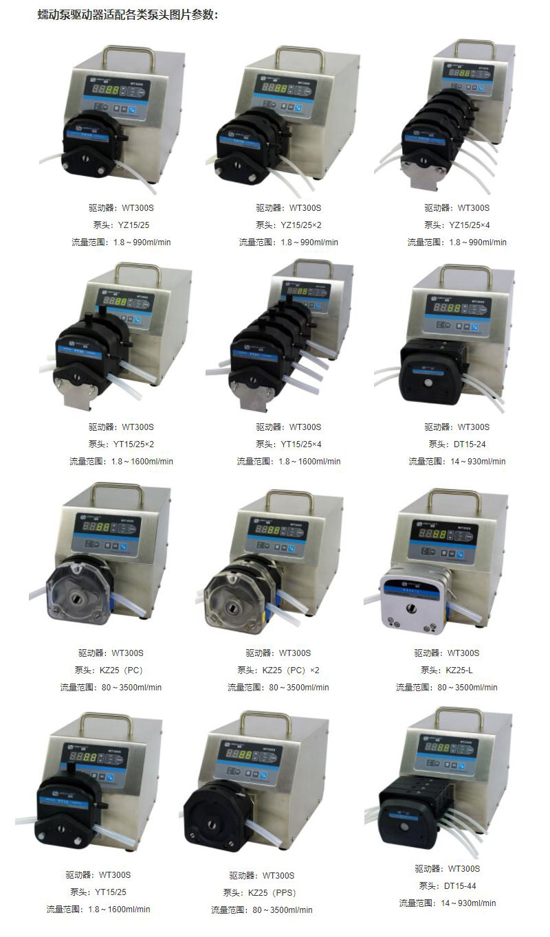 WT300S调速型蠕动泵2.jpg