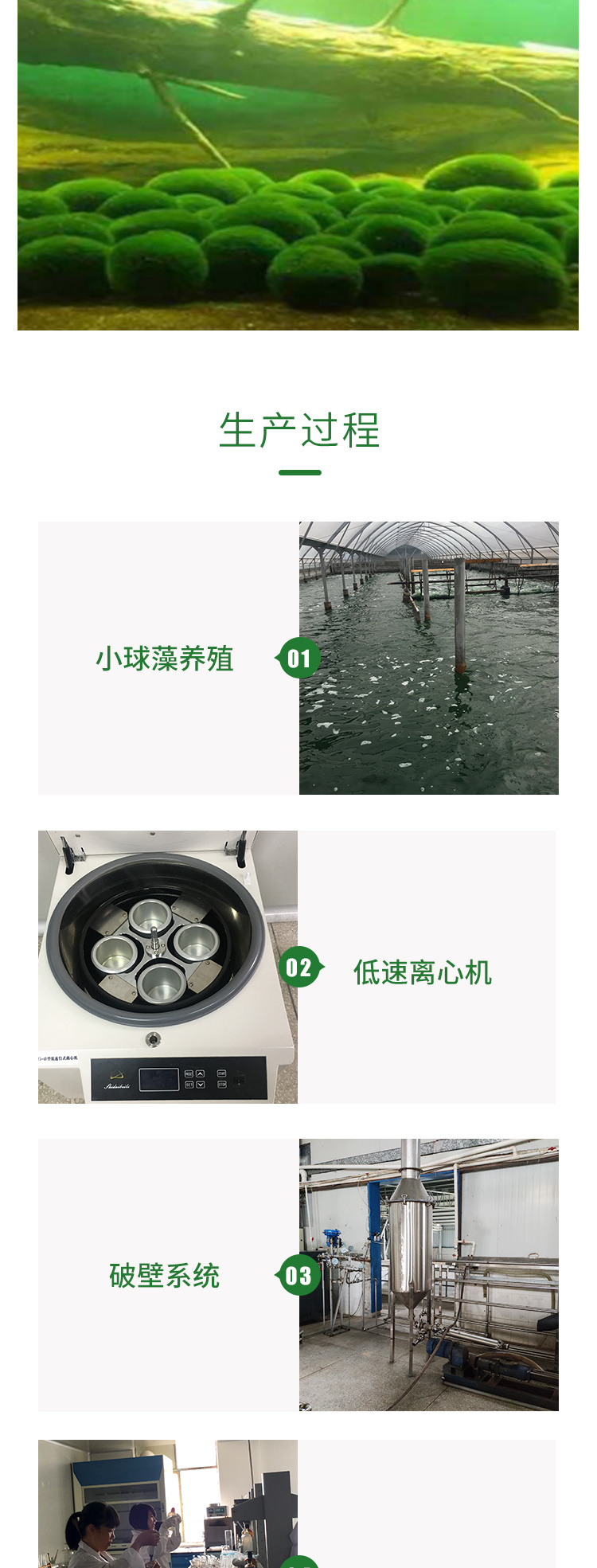 生巴达蛋白核小球藻粉制品300g/罐示例图3